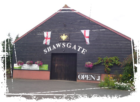 Shawsgate Vineyard