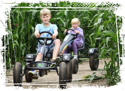 Southwold Maize Maze